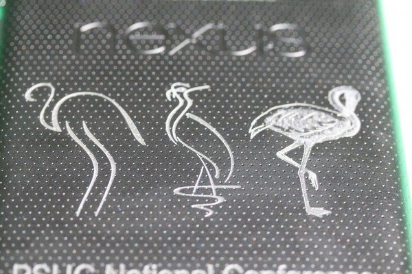 Flamingos Engraved on Nexus 7